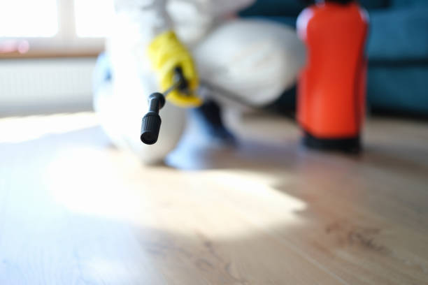 Best Mold Remediation for Healthcare Facilities  in Lake Mary, FL