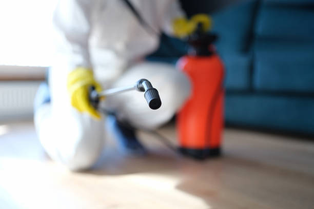 Best Mold Remediation for Healthcare Facilities  in Lake Mary, FL